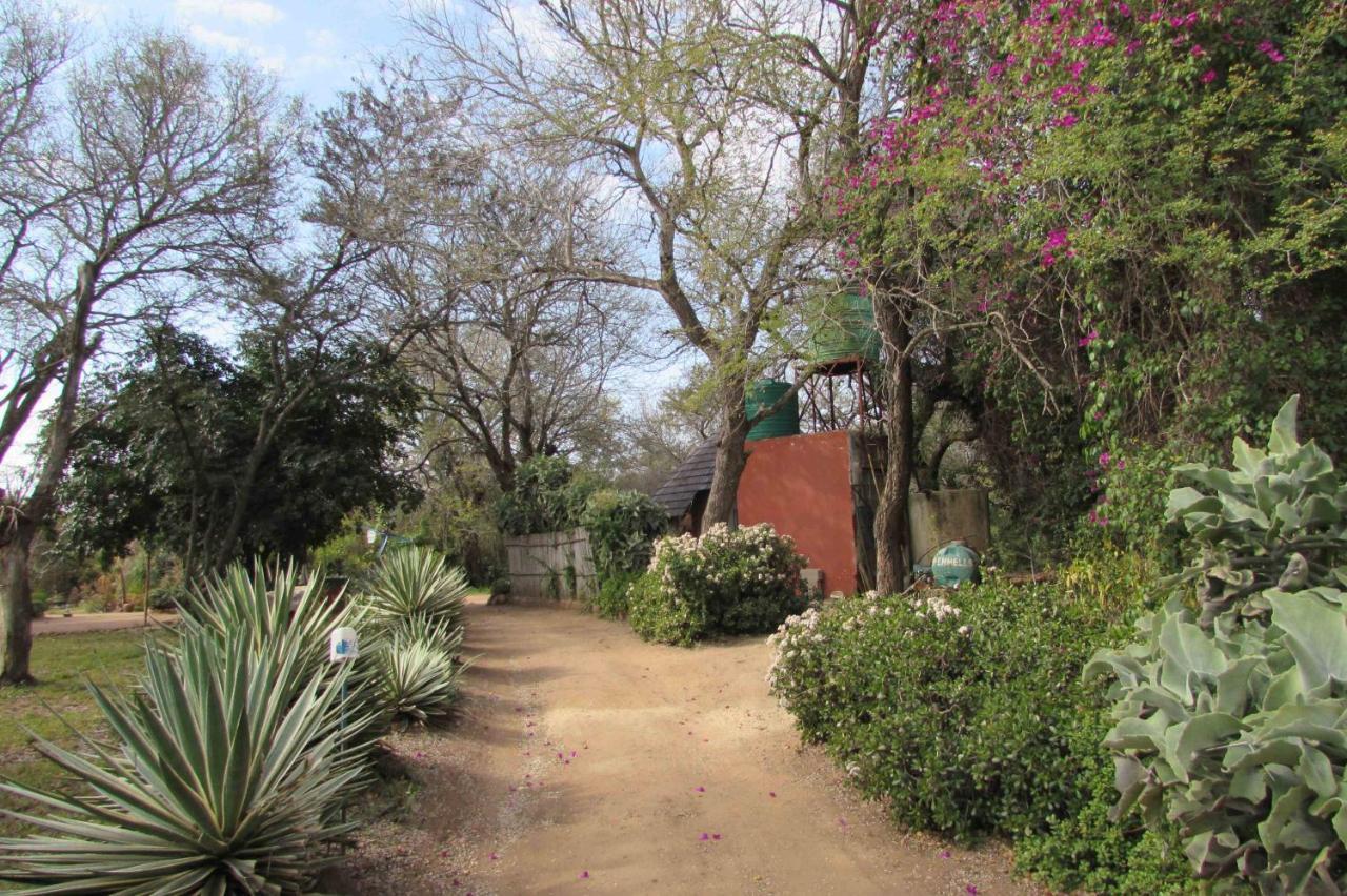 Amanzimlotzi Riverside Bush Camp โฮดสปรูท ภายนอก รูปภาพ