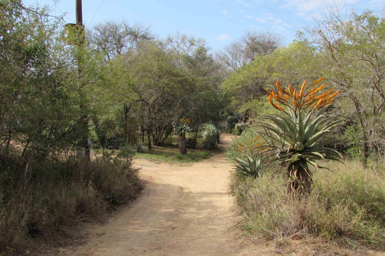 Amanzimlotzi Riverside Bush Camp โฮดสปรูท ภายนอก รูปภาพ