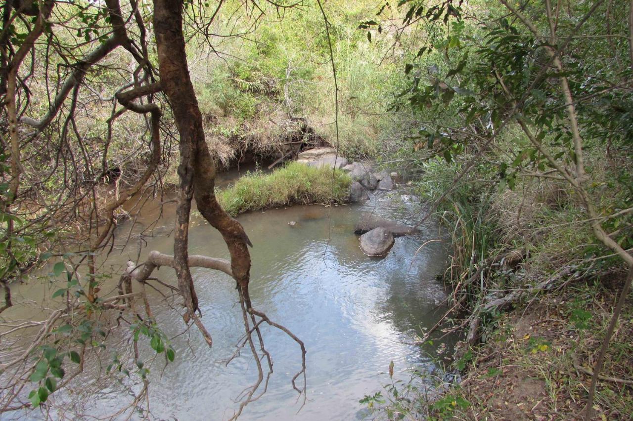 Amanzimlotzi Riverside Bush Camp โฮดสปรูท ภายนอก รูปภาพ