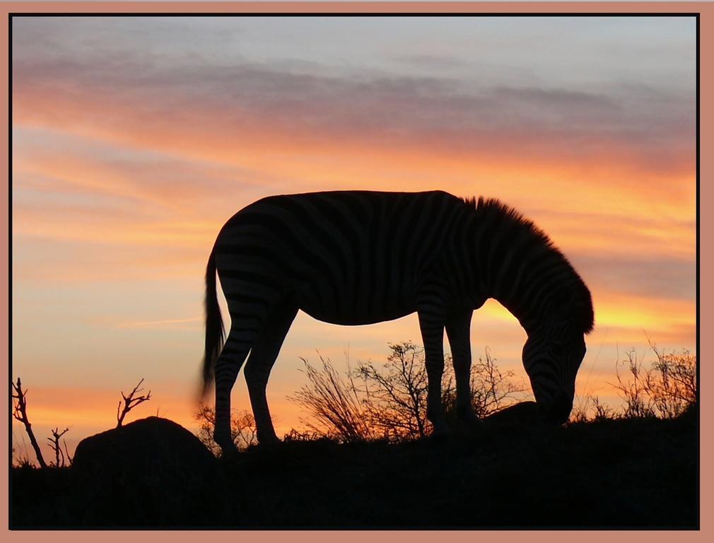 Amanzimlotzi Riverside Bush Camp โฮดสปรูท ภายนอก รูปภาพ
