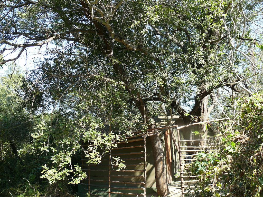 Amanzimlotzi Riverside Bush Camp โฮดสปรูท ห้อง รูปภาพ