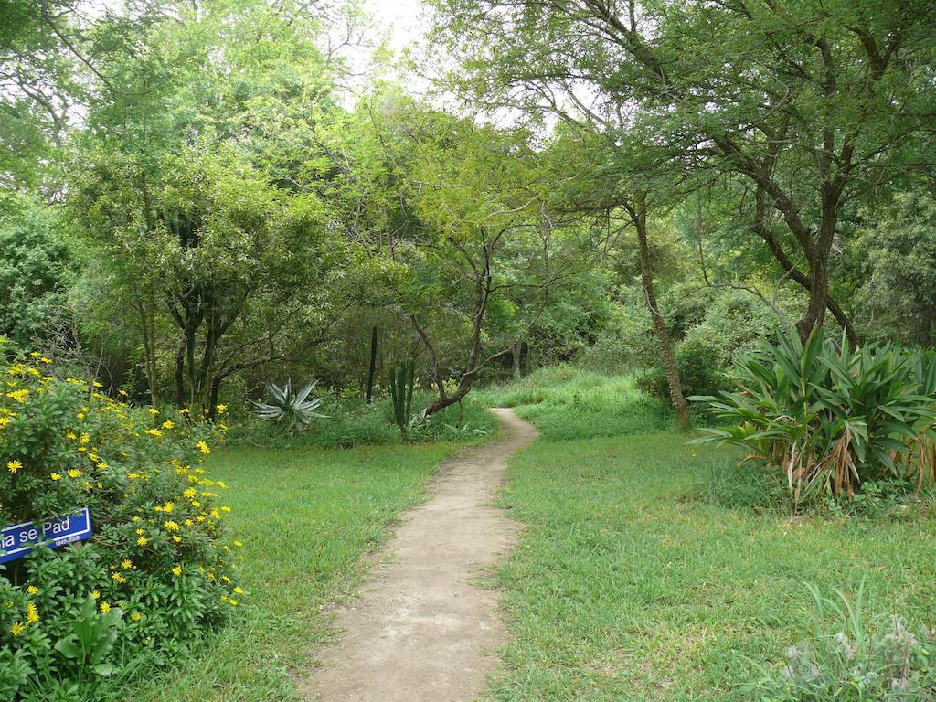 Amanzimlotzi Riverside Bush Camp โฮดสปรูท ห้อง รูปภาพ