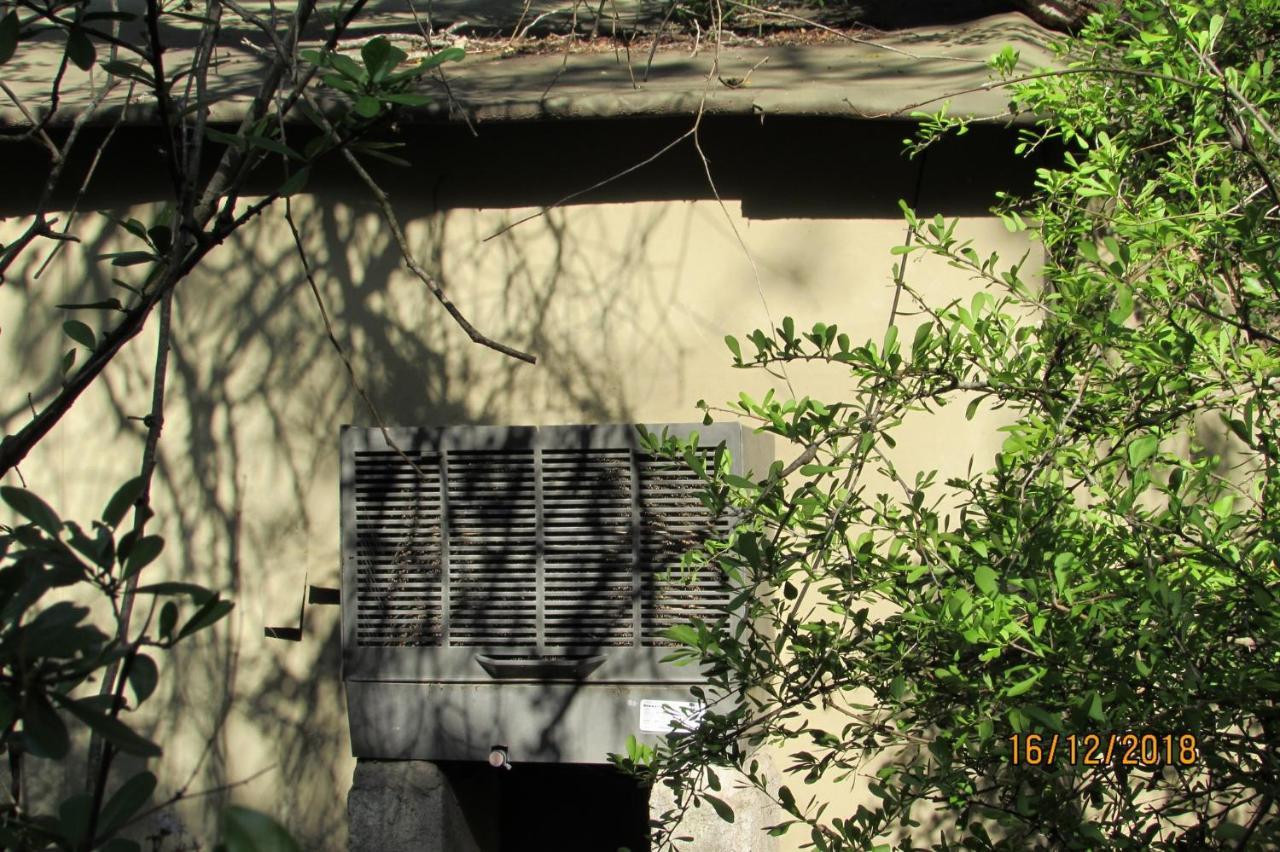 Amanzimlotzi Riverside Bush Camp โฮดสปรูท ภายนอก รูปภาพ