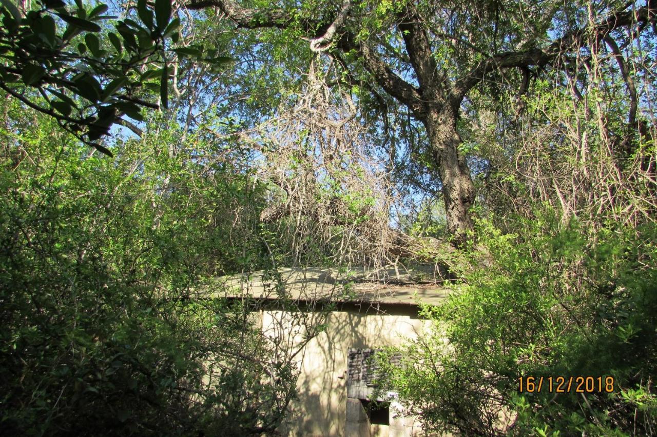 Amanzimlotzi Riverside Bush Camp โฮดสปรูท ภายนอก รูปภาพ