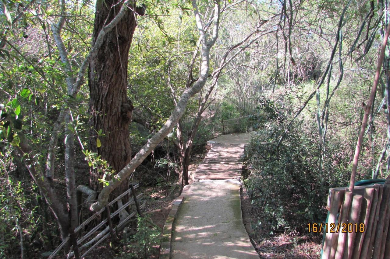 Amanzimlotzi Riverside Bush Camp โฮดสปรูท ภายนอก รูปภาพ