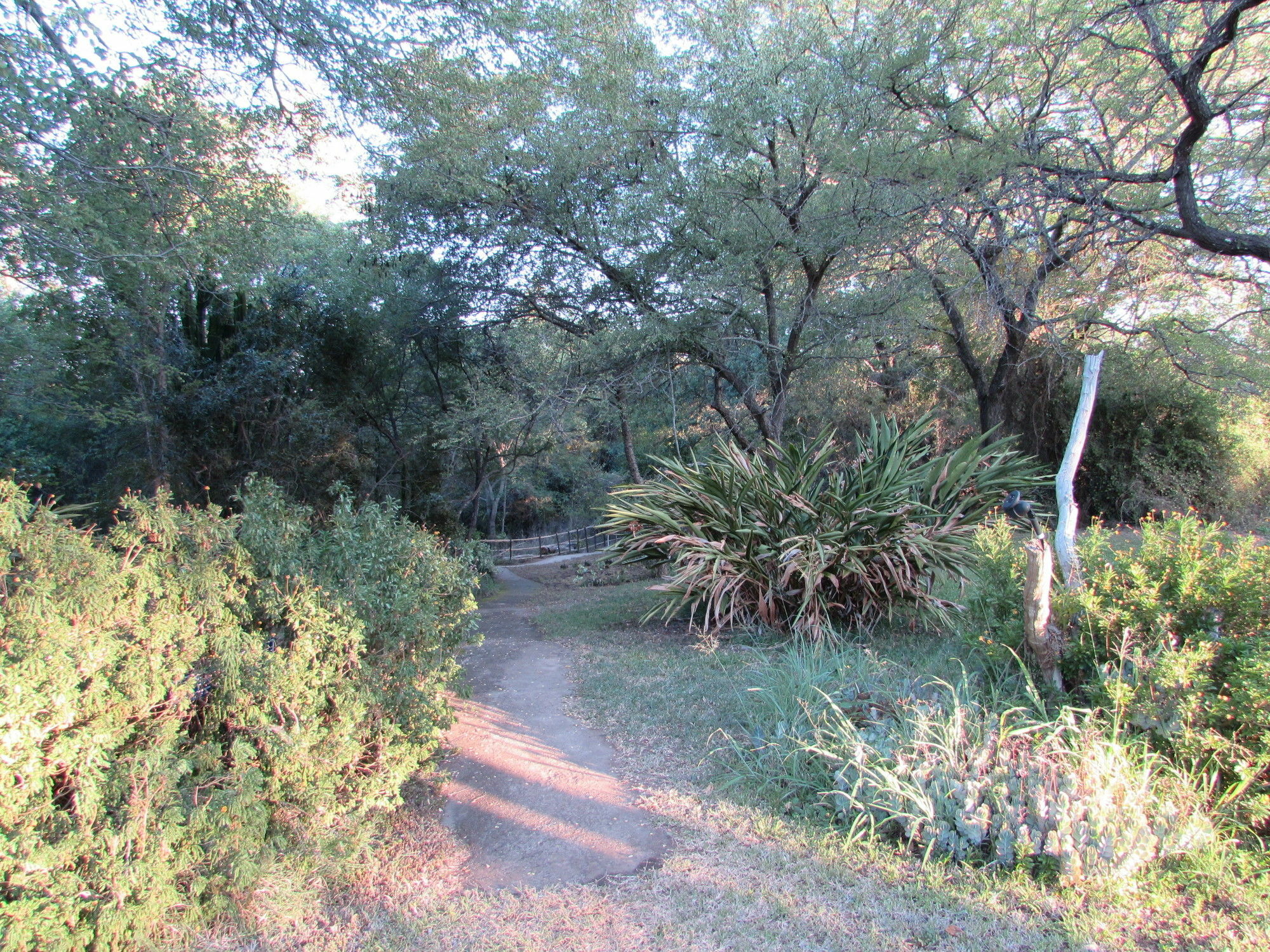 Amanzimlotzi Riverside Bush Camp โฮดสปรูท ภายนอก รูปภาพ